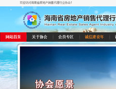 海南省房地產(chǎn)銷售代理行業(yè)協(xié)會