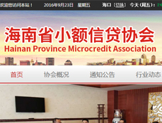 海南小額信貸協(xié)會